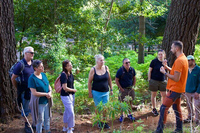 Arieiro Peak, Balcoes Viewpoint, Santana & Ponta De Sao Lourenço - Making the Most of Your Madeira Tour