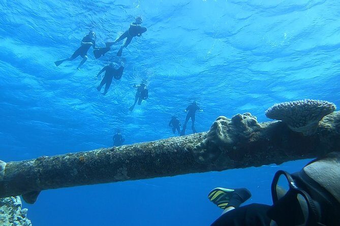 Ariki Adventures: Premium Sea Scooter Shipwreck Adventure - The Practical Side: What You Need to Know