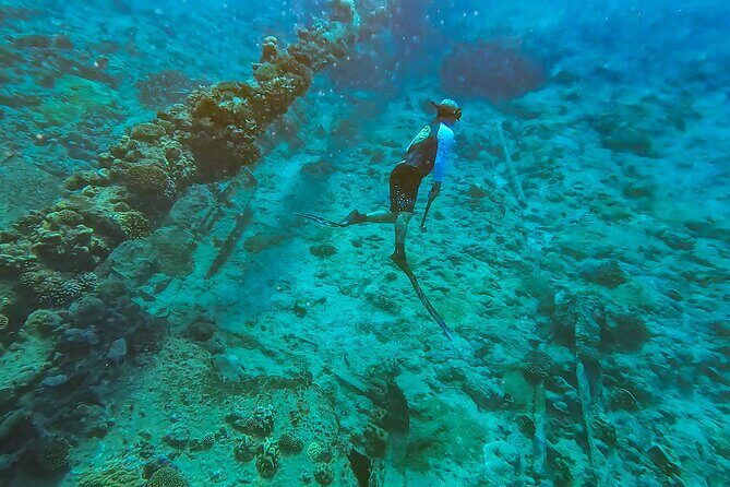 Ariki Adventures: Premium Sea Scooter Shipwreck Adventure - FAQ