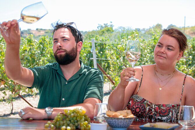 ARISMARI  Vineyard Tour & Wine Tasting - FAQs