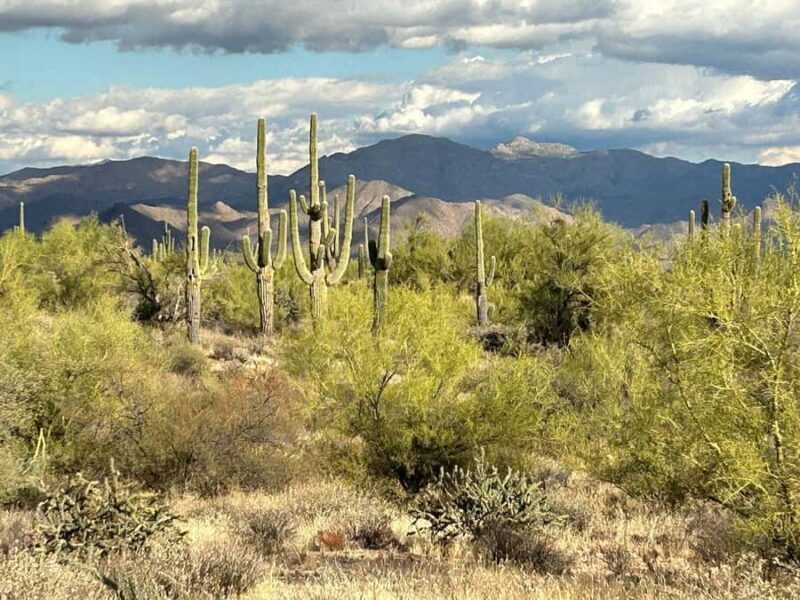 Arizona: Great Western Trail Jeep Tour at Rio Verde - Sunset Magic and Plateau Views