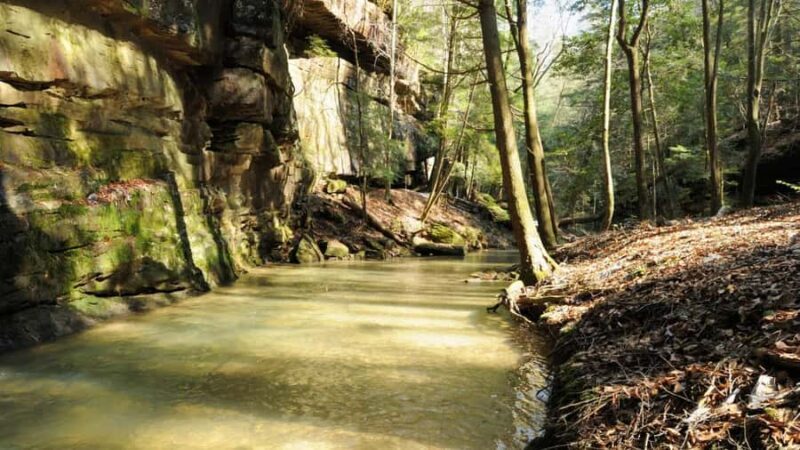 Arizona: Great Western Trail Jeep Tour at Rio Verde - The Sum Up
