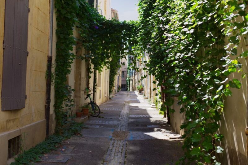 Arles: Private Guide Tour - Explore History & Culture - How the Tour Unfolds
