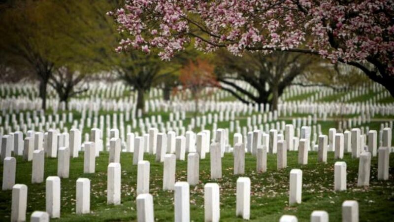Arlington Cementary & Guard Ceremony with Iowa Jima Memorial - Additional Considerations