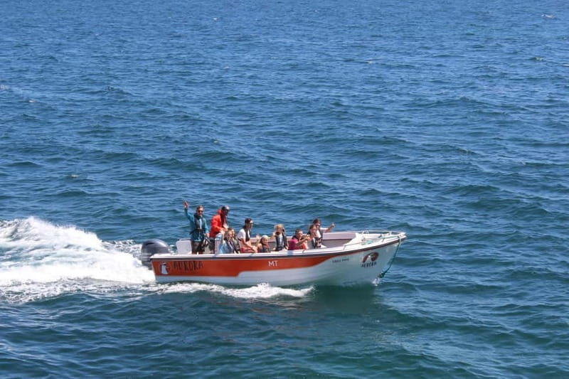 Armação de Pêra: Benagil and 10 Best Caves Guided Boat Tour - FAQ