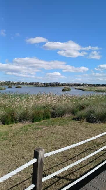 Armação de Pera: Salgados Natural Park E-Bike Tour - Practical Details and Tips