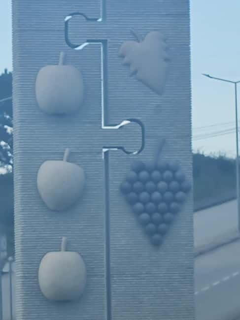 Armamar: Apple Orchard Tour with Lunch and Tastings - An In-Depth Look at the Armamar Apple Orchard Tour