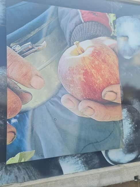 Armamar: Apple Orchard Tour with Lunch and Tastings - Who Will Love This Tour?