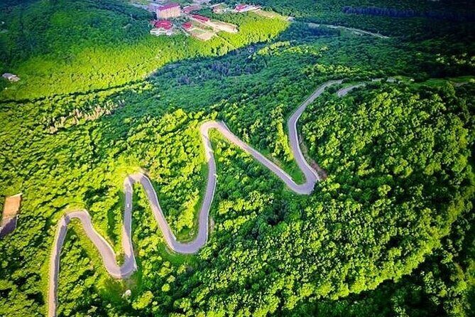 Armenia Day Trip from Tbilisi: Private Experience - Who Would Love This Tour?