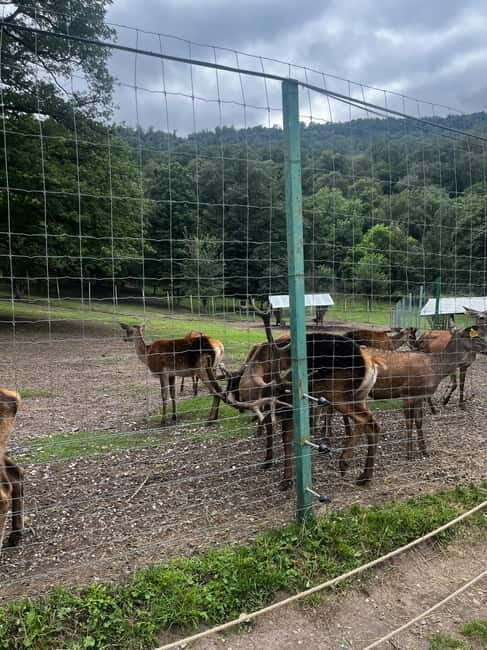 Armenia: Private Tour to Dilijan & Lake Sevan - Introduction