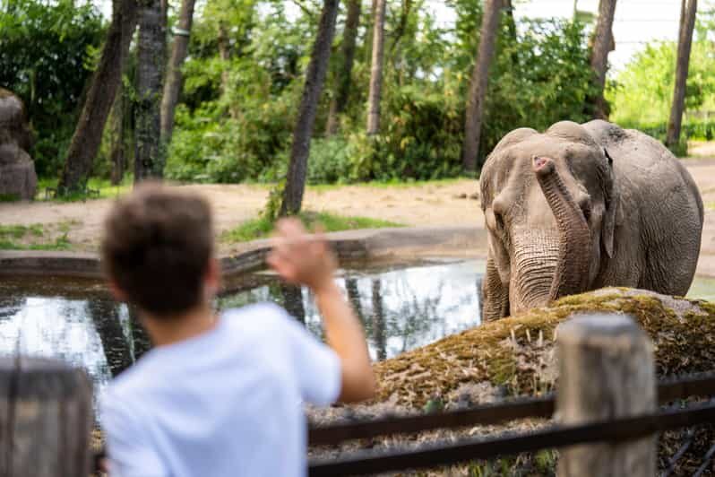 Arnhem: Burgers' Zoo Entry Ticket - Arnhem: Burgers Zoo Entry Ticket – A Detailed Look at One of the Netherlands’ Top Eco-Zoos