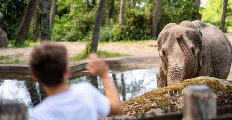 Arnhem: Burgers' Zoo Entry Ticket - What Makes Burgers Zoo Stand Out?