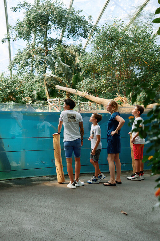 Arnhem: Burgers' Zoo Entry Ticket - Practical Details: What to Expect