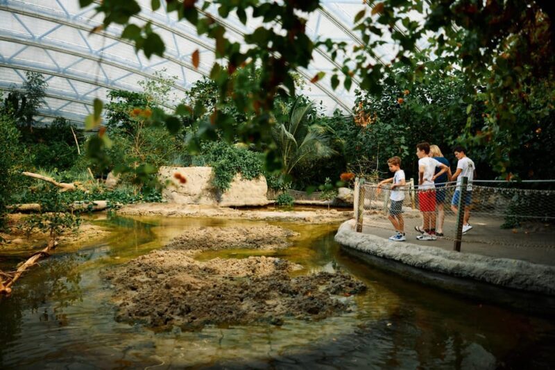 Arnhem: Burgers' Zoo Entry Ticket - Real Traveler Insights