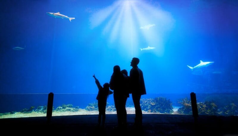 Arnhem: Burgers' Zoo Entry Ticket - Who Will Love This Experience?