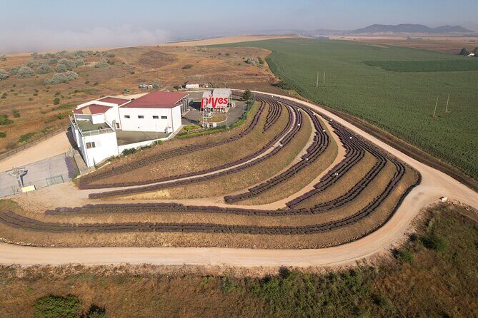 Aroma sampling of 5 Bulgarian Lavender varieties at DiVes Winery - Practical Details and Tips for Your Visit