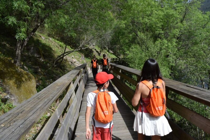 Arouca: Guided Tour Paiva Walkways + 516 Suspension Bridge - What to Expect: A Deep Dive into the Tour Experience