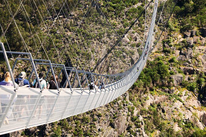 Arouca Suspension Bridge and Paiva Walkway Day Tour from Porto - Arouca Suspension Bridge and Paiva Walkway Day Tour from Porto: A Complete Review