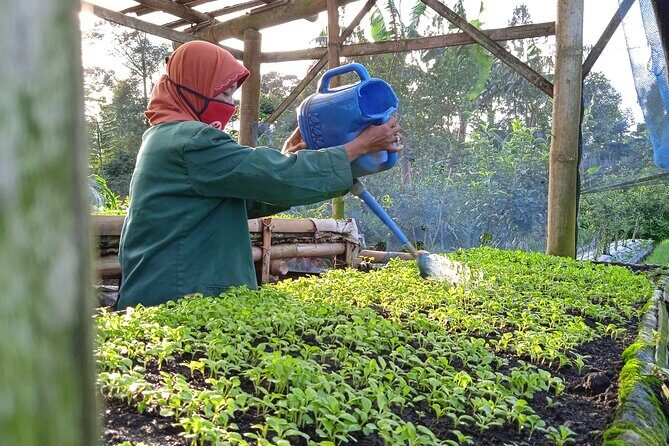 Around Bromo Farming Experience - Key Points