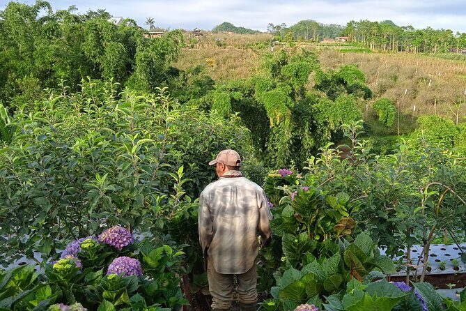 Around Bromo Farming Experience - Who Will Love This Tour?