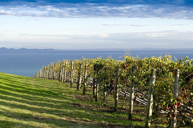 Around the Bay Food and Wine Taste Trail - What’s Included and What’s Not