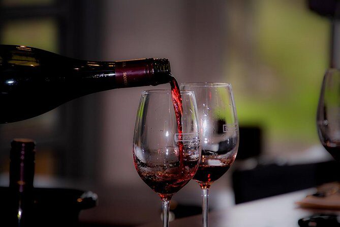 Around the Bay Food and Wine Taste Trail - Final Thoughts: Who is This Tour Best For?