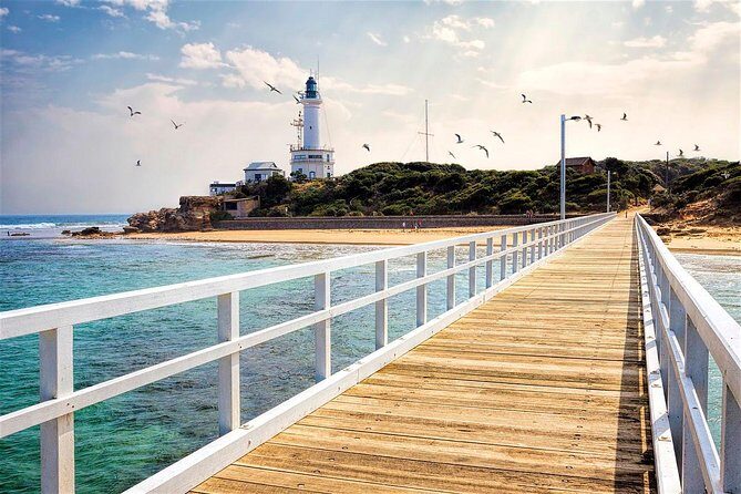 Around the Bay Sightseeing and Bay Cruise - A Full-Day Journey Through Victoria’s Coastal Gems
