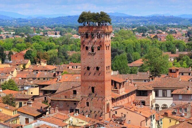 Around Tuscany: Carrara Marbles, Pisa & Lucca - An In-Depth Look at the Itinerary and Experiences