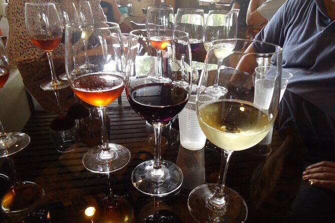 Arrabida and Bacalhoa Wine Tasting Private Tour from Lisbon - What the Reviews Reveal: Authentic Insights