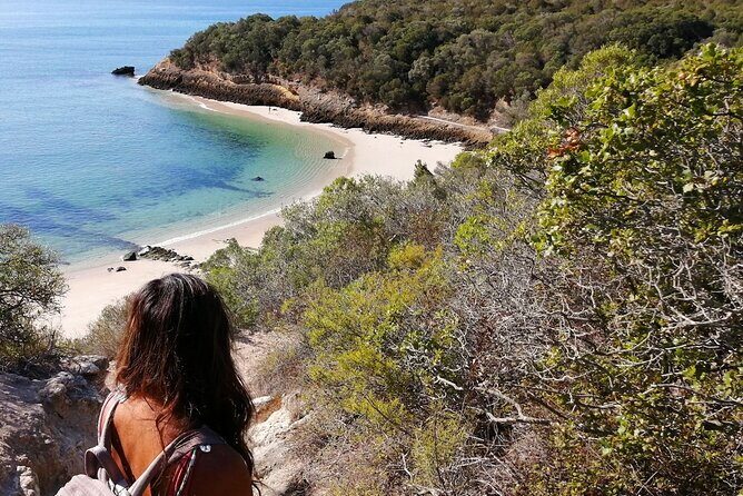 Arrábida: Beach, Nature & History - The Value of the Tour
