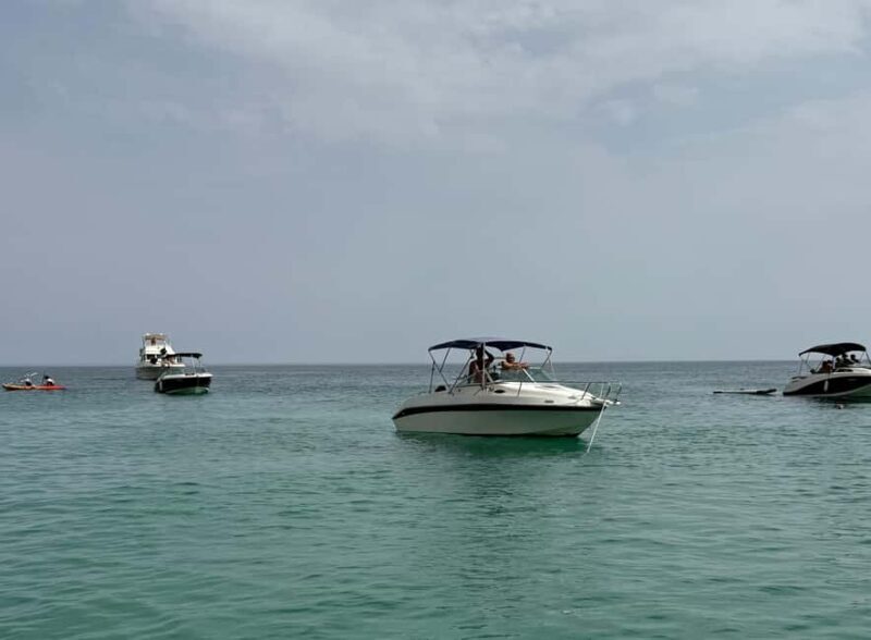 Arrábida: Boat Tour along the Coast - The Sum Up