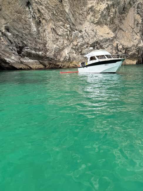 Arrábida - Fantastic dolphin tour - Key Points