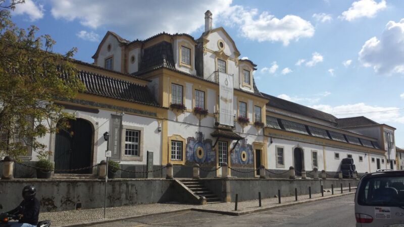 Arrábida: Full-Day Private Tour with Wine Tasting - Final Thoughts