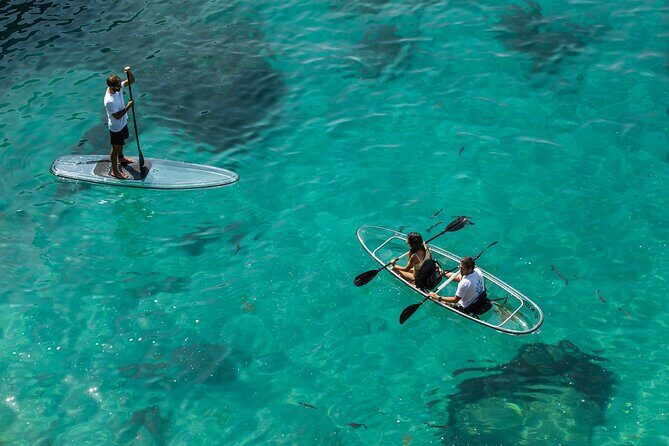 Arrábida: Guided Transparent Kayaking Tour - Who Will Love This Tour