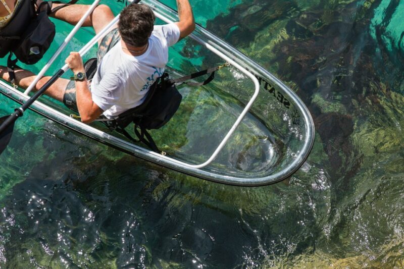 Arrábida: Guided Transparent Kayaking Tour - Who Should Book This Tour?