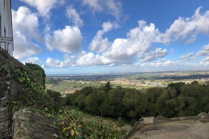 Arrábida Palmela Azeitão Private Tour - W/ Wine Tasting & Tapas - A Closer Look at the Tour Experience