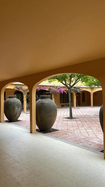 Arrábida: Wine Tour & Tastings Day Tour (Private) - Final thoughts