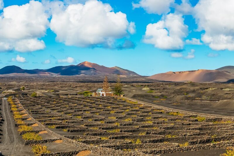 Arrecife: Timanfaya and Green Lagoon for Cruise Passengers - The Itinerary in Detail: What to Expect
