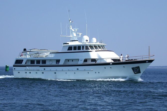 Arrival or Departure Private Transfer: Gatwick Airport to Southampton Cruise Port - The Value of a Private Transfer