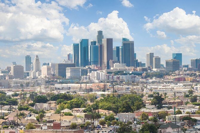 Arrival Private Transfer: Airport LAX to Los Angeles in Luxury SUV - Who Is This Tour Best For?