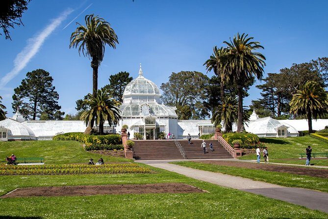 Arrival Private Transfer: Airport SFO to San Francisco in Luxury Car - Real User Insights and Tips Based on Reviews