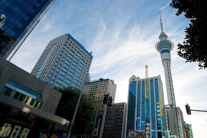 Arrival Private Transfer from Auckland Airport AKL to Auckland in Luxury Van - The Experience Overview