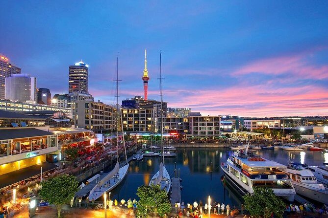 Arrival Private Transfer from Auckland Airport AKL to Auckland in Luxury Van - Who Should Consider This Service?