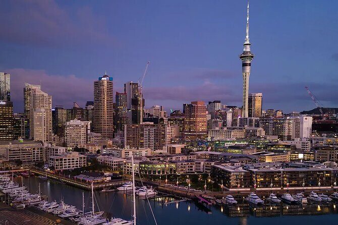 Arrival Private Transfer from Auckland Airport AKL to Auckland in Luxury Van - The Sum Up: Is This Transfer Worth It?