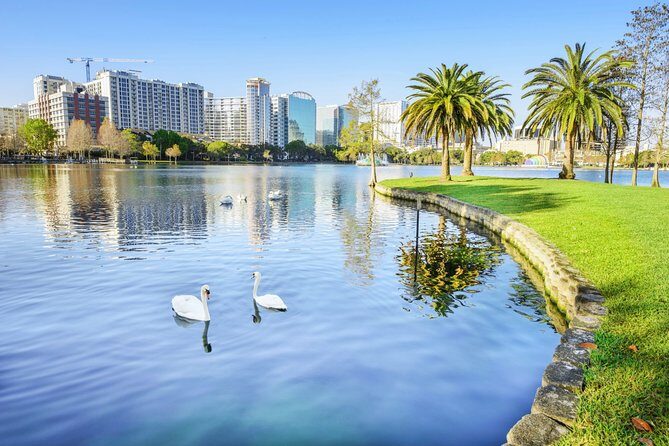 Arrival Private Transfer: Orlando Airport MCO to Orlando in Luxury SUV - The Experience: What to Expect from Your Luxury SUV Transfer