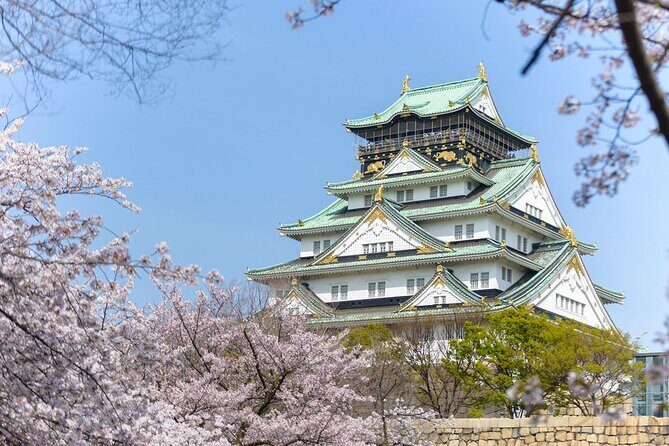 Arrival Private Transfers: Kansai Airport KIX to Osaka City in Business Car - Convenience and Flexibility
