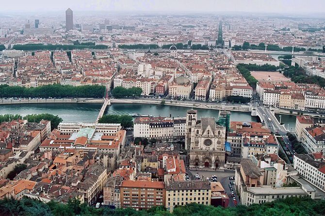 Arrival Transfer: Lyon Airport LYS to Lyon City in Luxury Van - Who Would Benefit Most?