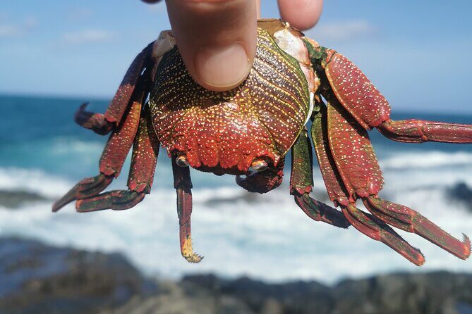 Arround Gran Canaria All Highlights Private Shore Excursion - A Full Breakdown of the Itinerary and What to Expect