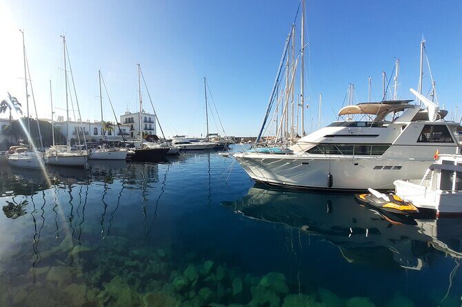 Arround Gran Canaria All Highlights Private Shore Excursion - Final Thoughts