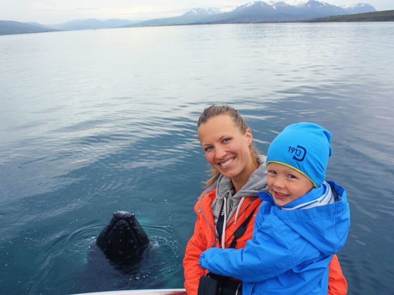 Árskógssandur: Whale-Watching Boat Trip - What to Expect on the Tour